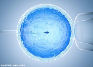 当院について